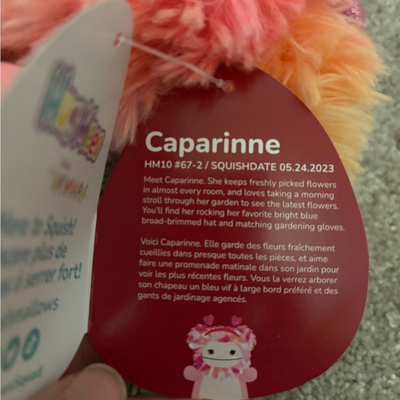 NWT 10” Caparinne the Valentines Bigfoot Squishmallow Hugmee - Picture 2 of 6
